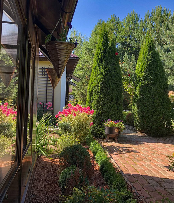 Туя в ландшафтному дизайні: гармонійне поєднання з іншими рослинами, створення садової композиції.