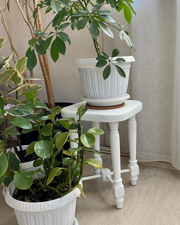 Рама: мистецтво в деталях Переробка меблів: ідея відновлення старої рами та перетворення на чудовий арт-об'єкт.