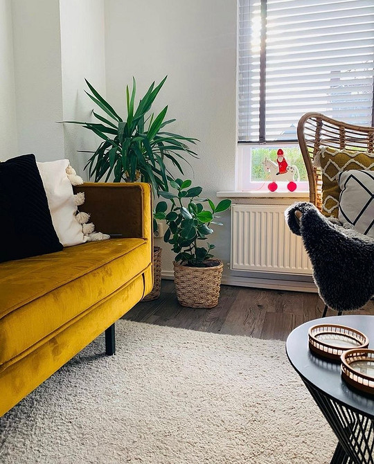 Яскравий жовтий диван в інтер'єрі з білими стінами, дерев'яною підлогою та зеленими рослинами