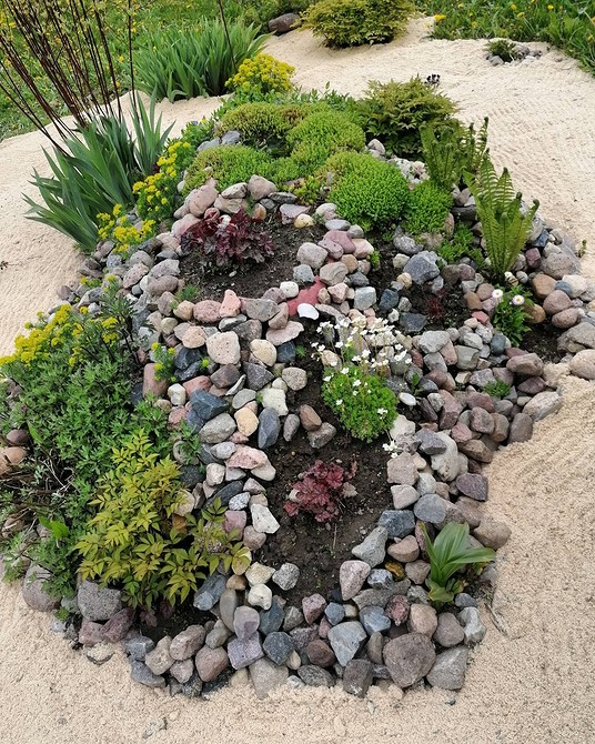 Приклад альпійської гірки з використанням різних видів сукулентів та каменів.