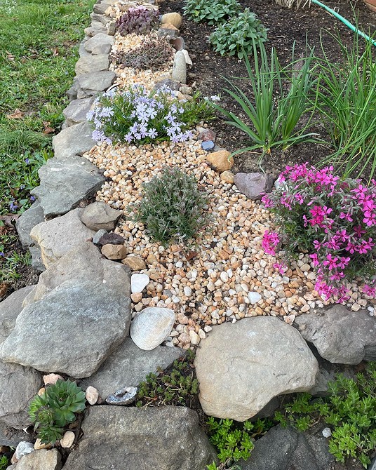 Альпінарій з використанням великих валунів та різноманітних квітучих рослин.