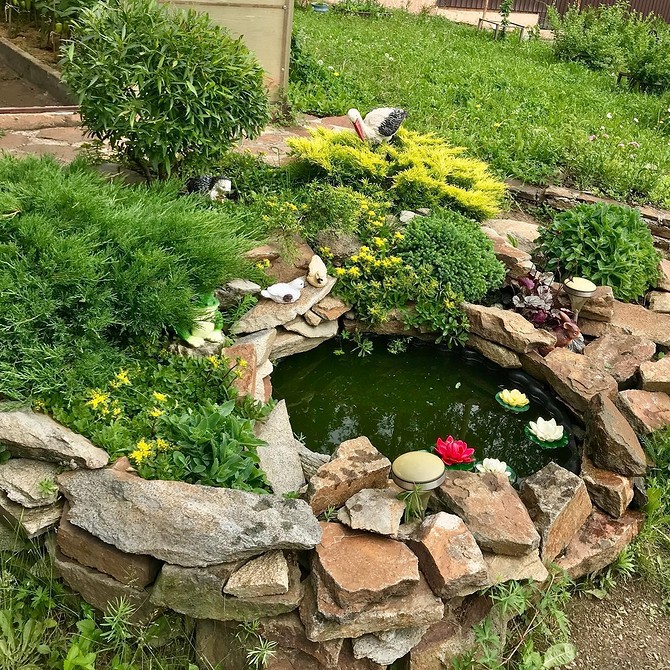 Альпійська гірка для маленького саду з низькорослими та почвопокровними рослинами.