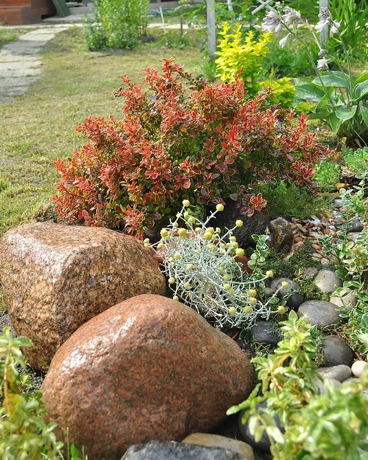 Дизайн альпінарію 2026: сучасні тенденції в ландшафтному дизайні саду.