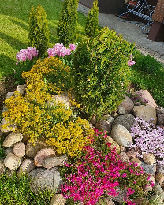 Надихаючий дизайн альпійської гірки для маленького саду з низькорослими рослинами.