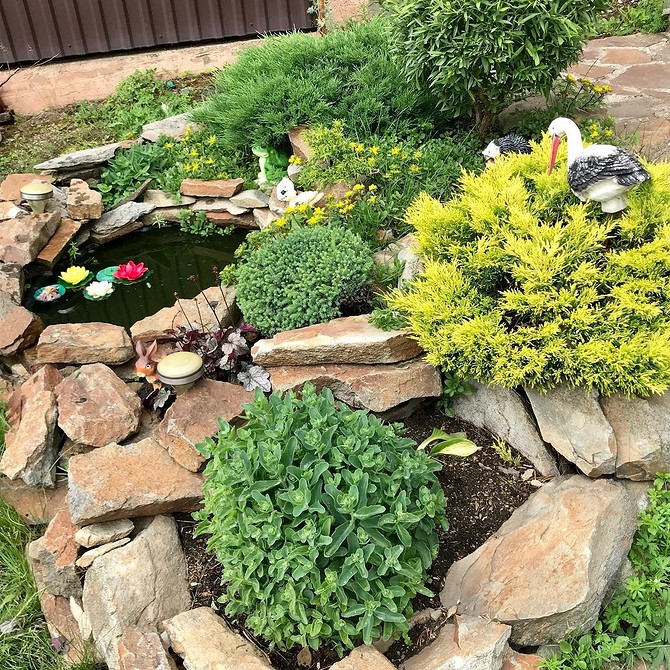 Надихаючий альпінарій своїми руками з декоративним камінням та квітучими рослинами