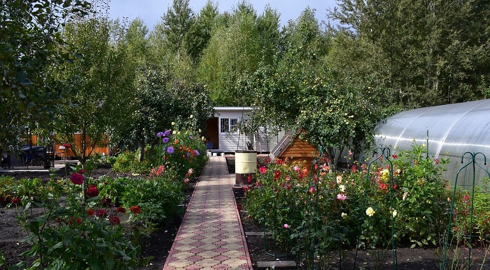 Дачні роботи в травні 2026: підготовка ґрунту для посадки ранніх овочів.