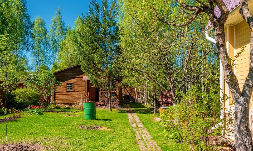 Планування зони відпочинку на дачі в травні 2026 року: ідеї для релаксу.