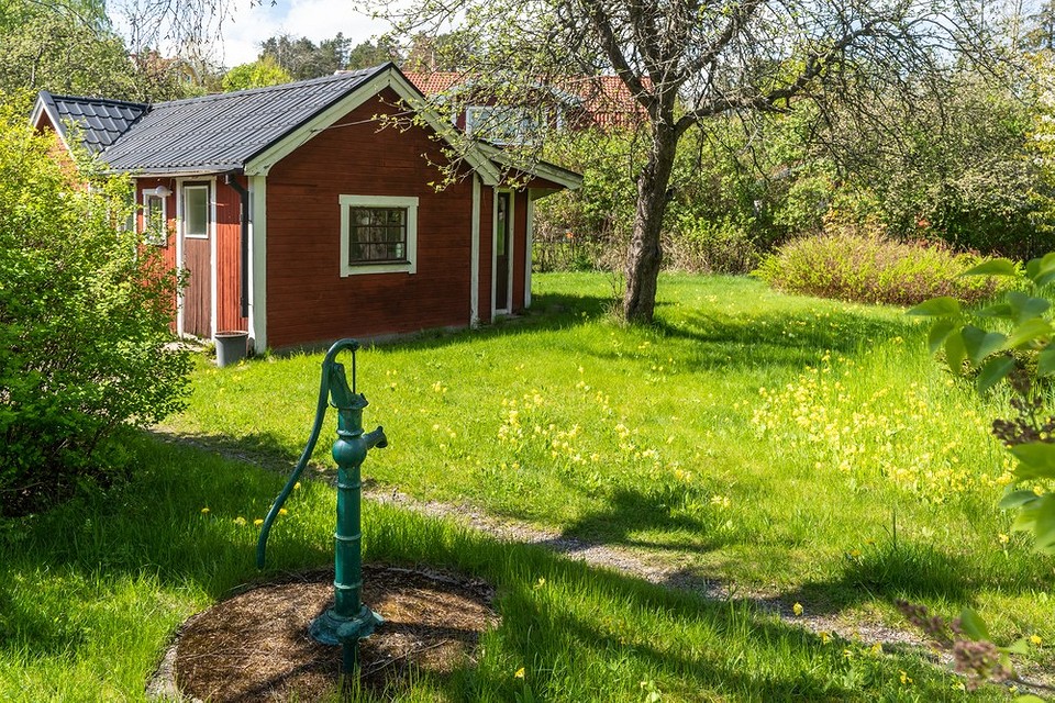 Облаштування дачі до травня 2026: ідеї для створення затишного простору.