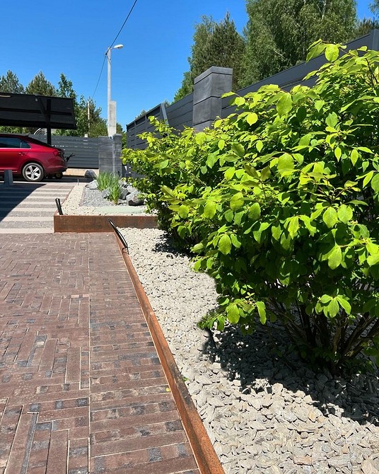 Бересклет в ландшафтному дизайні: поєднання з іншими декоративними рослинами.