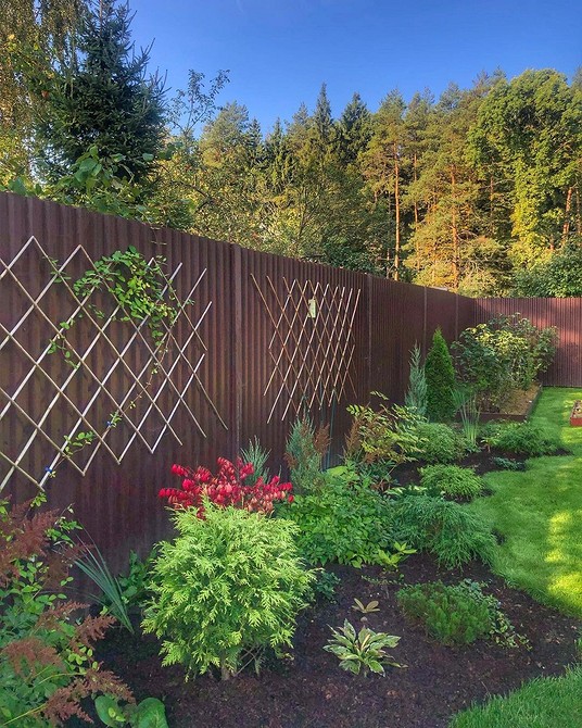 Бересклет в ландшафтному дизайні: варіанти застосування та догляд у 2026 році.