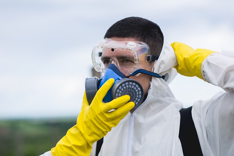 Схема обробки малини восени: захист від шкідників, хвороб та підготовка до зими 2026.