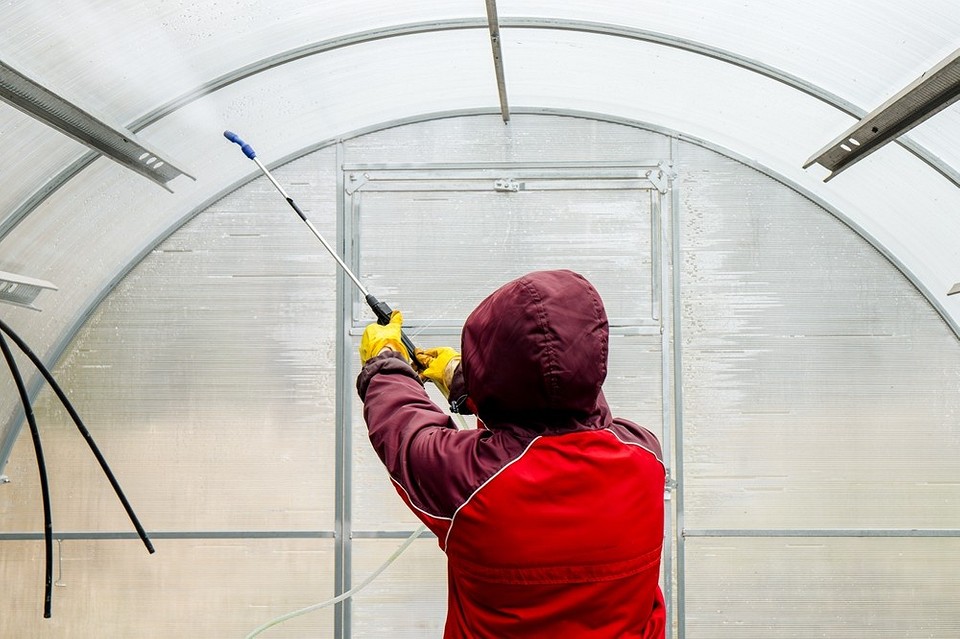 Обробка теплиці восени для знищення фітофтори та підготовки до нового сезону