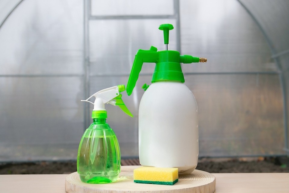 Підготовка теплиці до зими: методи обробки від фітофтори та шкідників