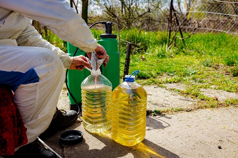 Препарати для осінньої обробки ґрунту, покращення його структури та збагачення корисними речовинами в 2026.