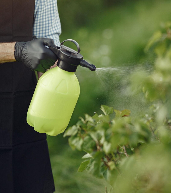 Захист яблунь від шкідників у 2026: використання інсектицидів та народних засобів для саду.