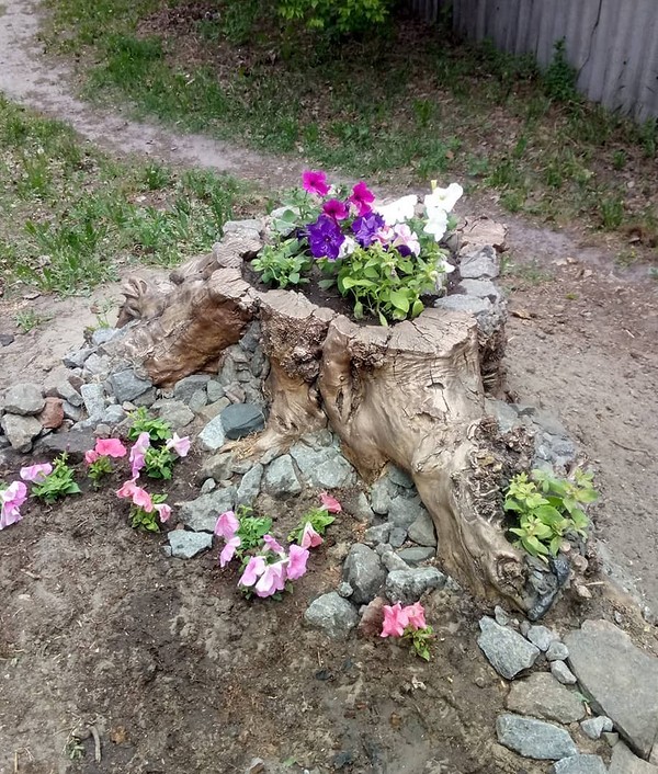 Креативне використання пня в саду: місце для відпочинку з м'якими подушками, садові меблі.