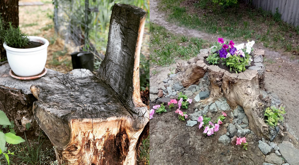 Садовий пень перетворений на креативний квітковий кашпо в ландшафтному дизайні саду.