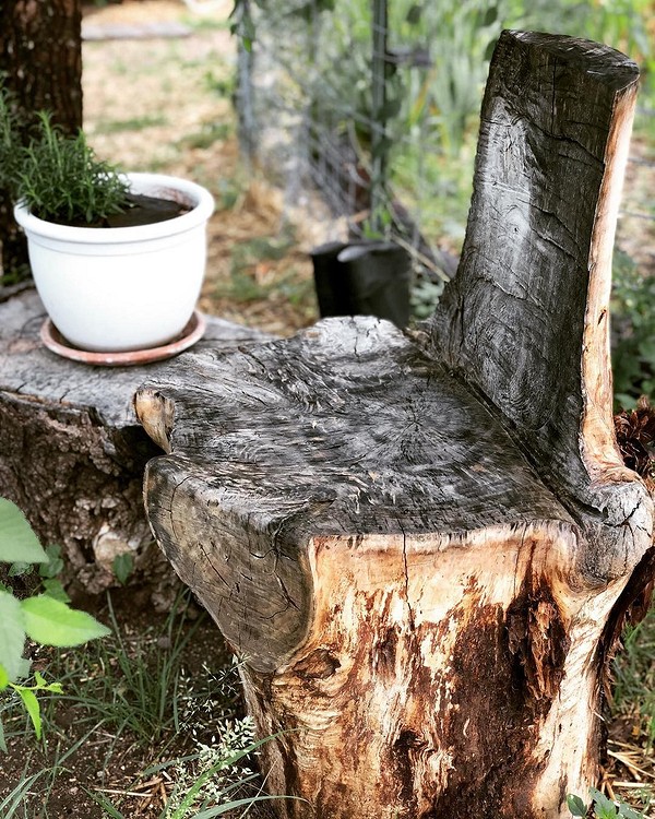 Пень в садовому дизайні, декорований рослинами та мохом, створюючи природний куточок.