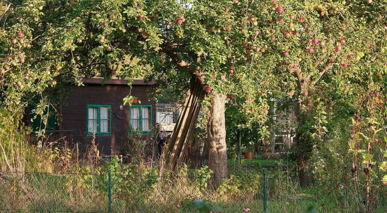 Найкращий за критеріями професіоналізму та інформативності: — Що посадити під яблунею 2026