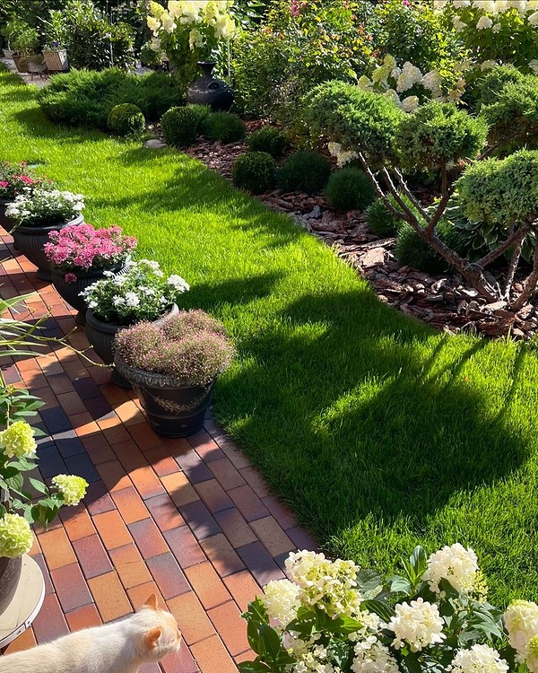 Елегантні квіти у вазонах, які прикрашають інтер'єр маленької квартири