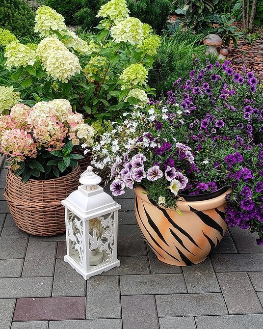 Вазони з квітами на балконі, ідеальні для створення міні-саду в квартирі