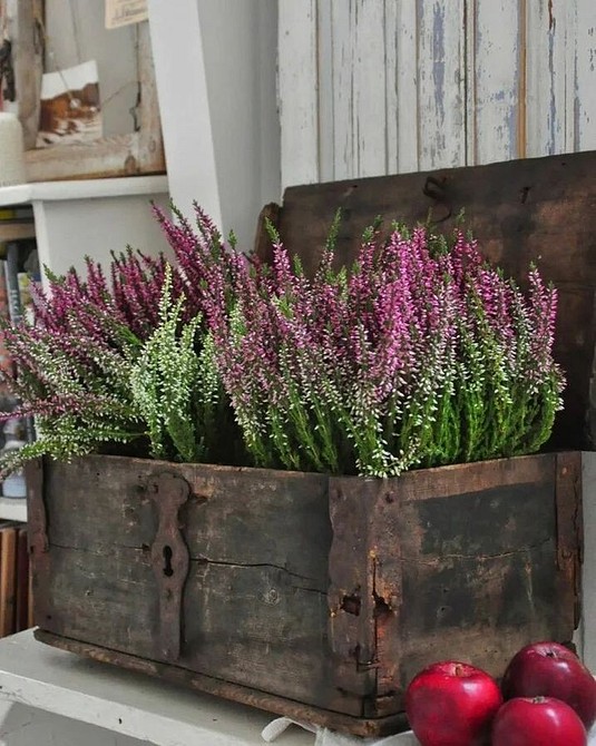 Квіти у вазонах на терасі: чудове місце для відпочинку серед зелені та квітів.