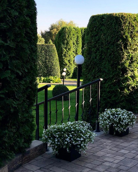 Яскраві квітучі рослини у вуличних вазонах, прикрашають простір балкону. Ідеальний варіант для початківців.