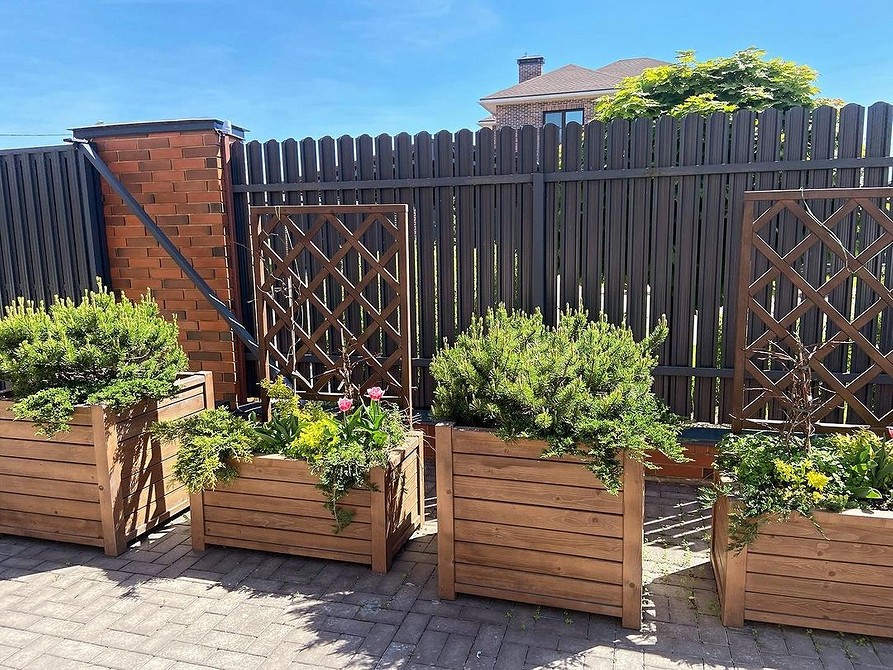 Вазони з морозостійкими рослинами, готові до зими на балконі у 2026 році