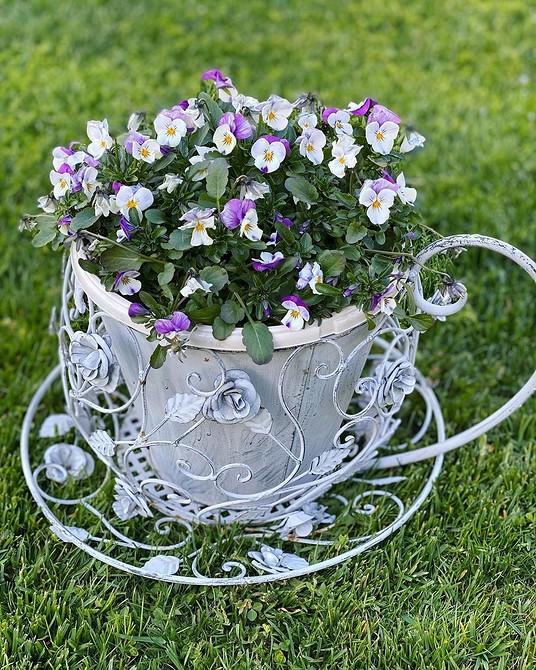 Квіти у вазонах: чудовий спосіб прикрасити балкон та створити власну літню оазу вдома.