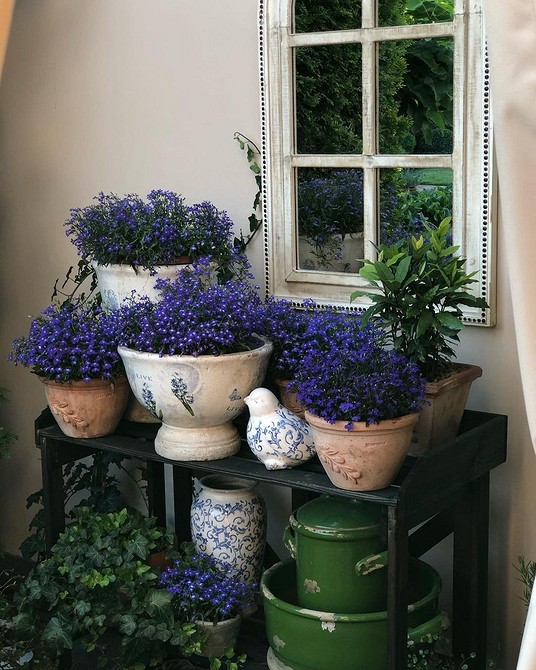 Композиція з різних видів садових квітів у вазонах, на балконі. Квітучий райський куточок.