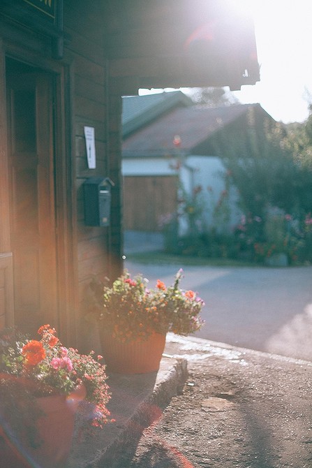 Група сукулентів у вазонах на балконі, легкі у догляді та стильні