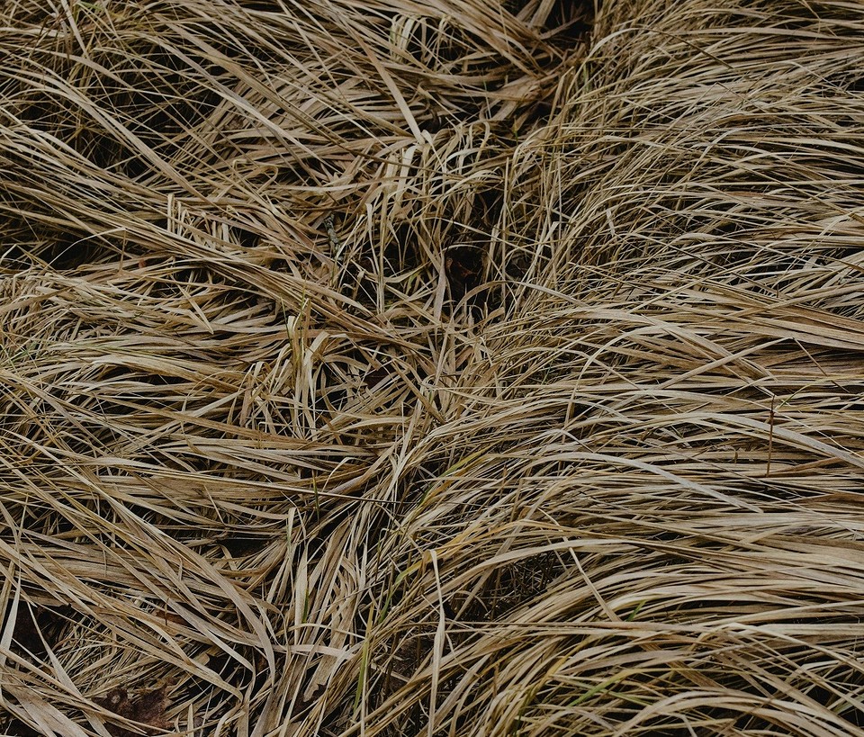 Вологостійкі матеріали для будки: захист від вологи взимку 2026