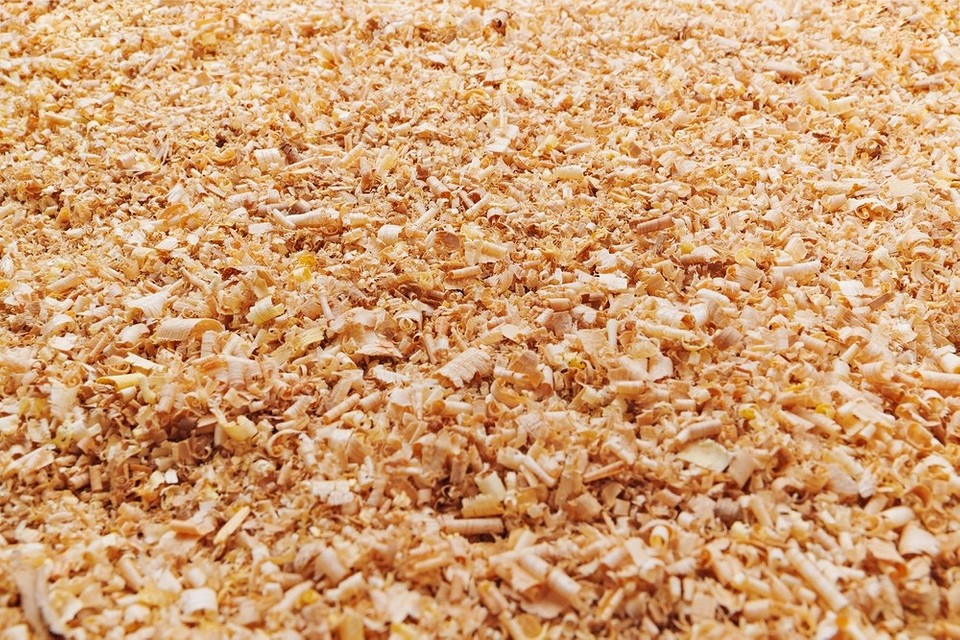 Зимові рішення для собачої будки: затишок та комфорт для улюбленця