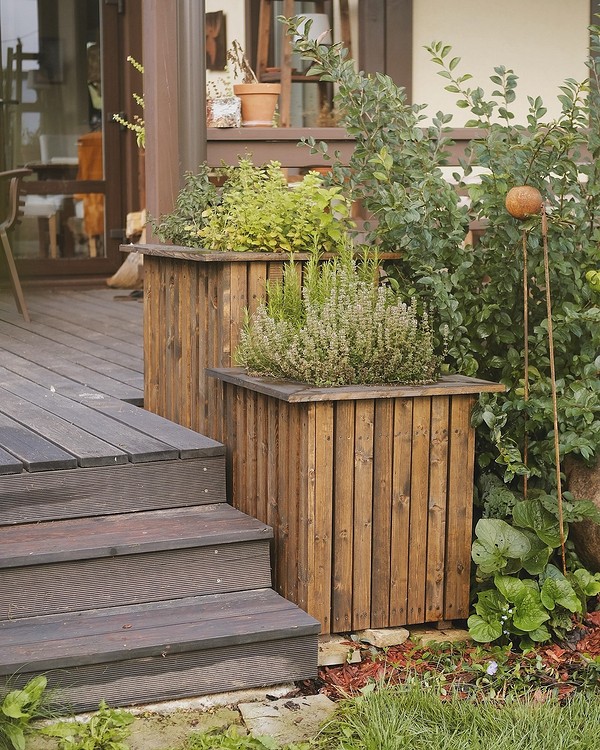 Декоративний ставок з рослинами: елегантний та природний елемент ландшафтного дизайну без газону.