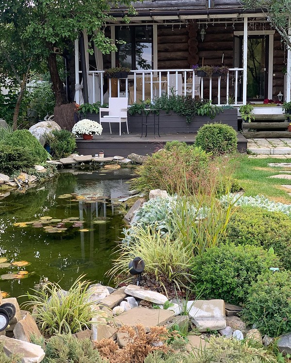 Декоративний ставок на дачі: елегантний спосіб створити оазу без газону у 2026 році.