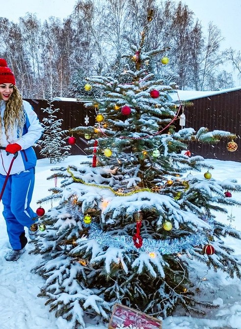 Сучасні тенденції в ландшафтному дизайні з використанням ялинок 2026.