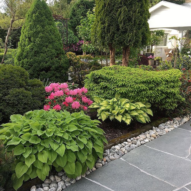 Ялина в ландшафтному дизайні: гармонійне поєднання з іншими рослинами на ділянці.