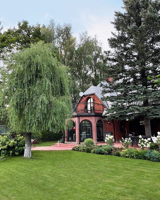 Популярні види декоративної верби для створення елегантного куточка природи у 2026.