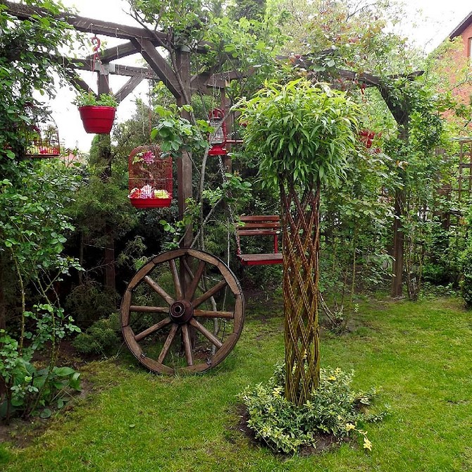 Популярні види верби для створення унікального ландшафтного дизайну саду