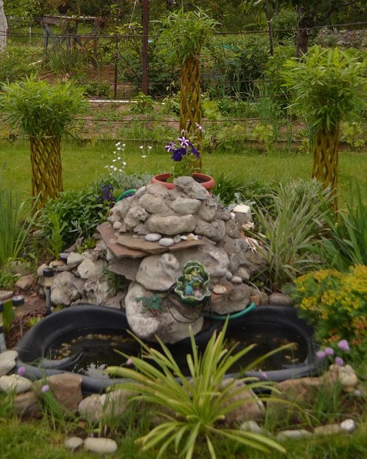 Іва в ландшафтному дизайні: вибір рослини для створення гармонійного саду 2026