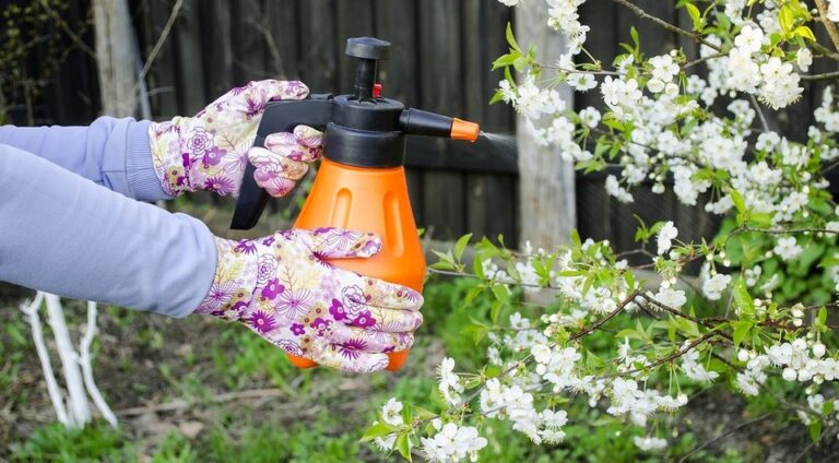 Бурштинова кислота в саду: як правильно використовувати для здоровя рослин (2026) — Янтарна кислота для рослин