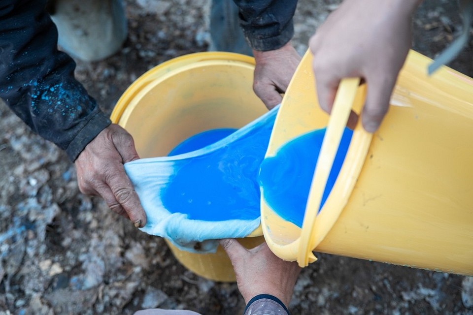 Рецепт приготування бордоської рідини для боротьби з хворобами рослин