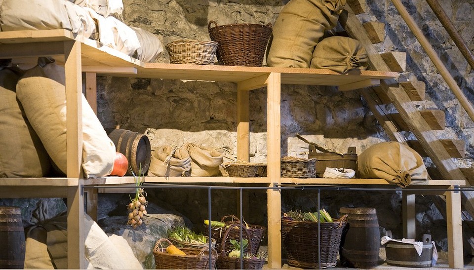 Цибуля сіянка різних сортів, готова до зберігання, з акцентом на сорти, популярні у 2026 році.