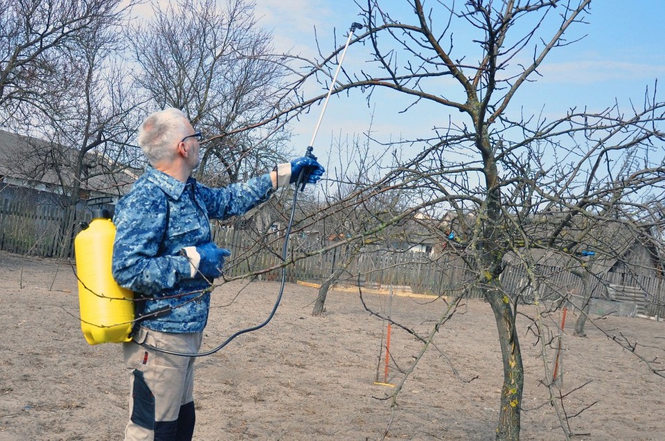 Препарати для осінньої обробки саду 2026: захист від хвороб та шкідників.