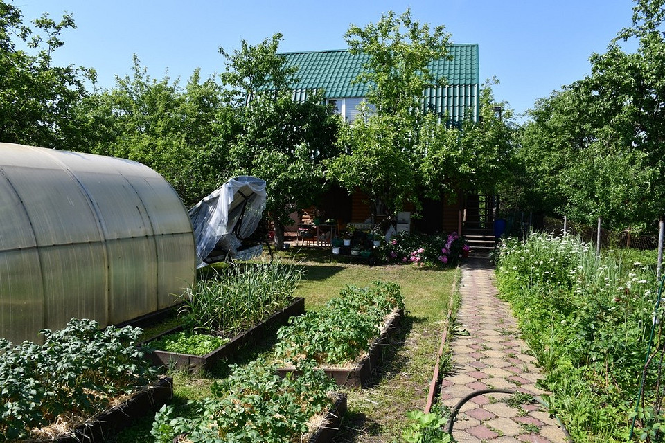 Обрізка дерев: Весна 2026 Обрізка дерев та кущів: весняні роботи в саду на дачі у 2026 році.