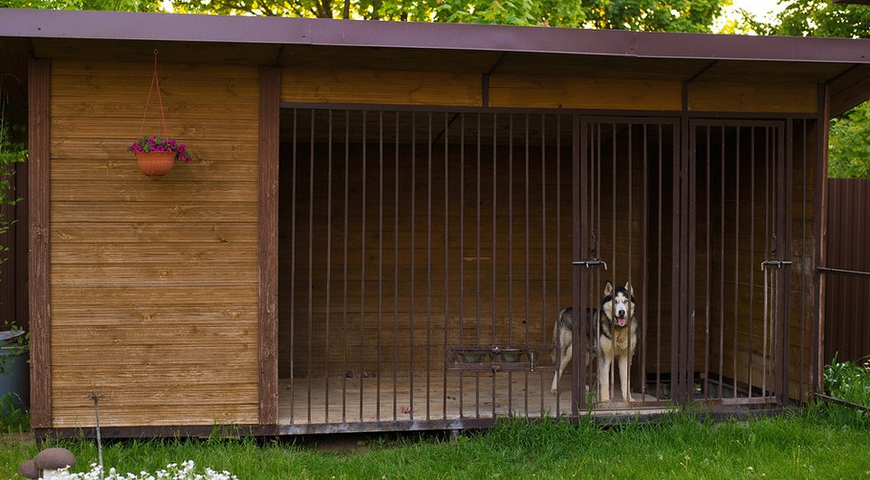 Планування вольєра для собаки своїми руками: розміри та креслення для ідеального дому.