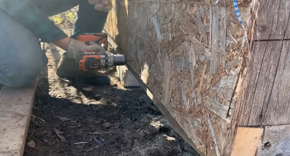 Місце розташування вольєра: вибір сонячної ділянки з урахуванням потреб собаки