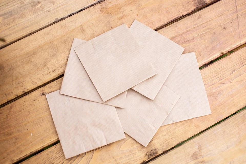 Чорнобривці 2026: збираємо насіння самостійно – посібник з правильного збору та зберігання