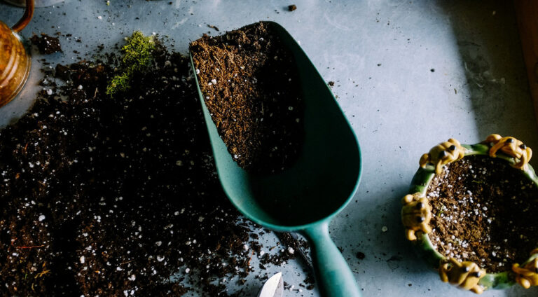 Какая земля для рассады лучше: оптимальный состав и 4 критерия выбора — Ґрунт для розсади