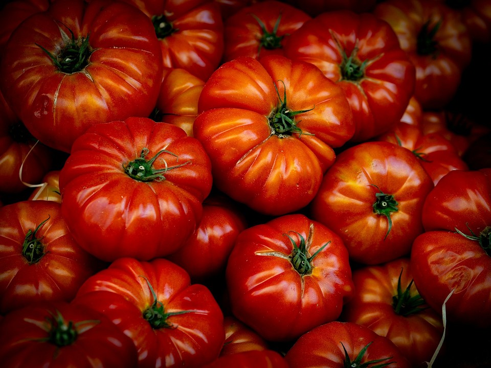 Добірка високоврожайних сортів помідорів для вирощування у відкритому ґрунті, великі плоди.